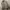 Casual Harrington jacket Pria cream tan photo 1