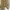 Sweater Oval Army photo 1