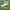 Adidas Munchen grey photo 1