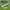 Adidas Munchen navy  photo 1