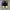Adidas Superstar Black White photo 3