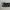 Vintage Roncato leather metal croco Belt  photo 2
