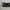 Vintage Roncato Leather Metal Croco Belt 