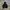 Hoodie Thisneverthat Tnt photo 5