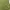 Mermaid skirt rok vintage green photo 1