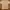 Carhartt Streetwear Casual T-shirt Pria Tan