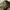 BALLOON CARGO PANTS GREEN UNKOWN photo 7