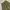 BALLOON CARGO PANTS GREEN UNKOWN photo 6