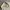 BAGGY PANTS PARACUTE CARGO GU UNIQLO WHITE  photo 8