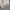 BAGGY PANTS PARACUTE CARGO GU UNIQLO WHITE  photo 10