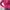 Polo Ralph Lauren Women Long Cardigan Cable Knit in Pink / R photo 1