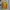 Tommy Hilfiger Cable Knit Yellow Women