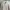 ZARA Biker Denim jacket Wanita white pink photo 1