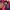 Vintage Sportswear Windbreaker Pria red photo 3