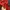 GUESS RED CREWNECK photo 3