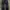 JEANS UNIQL0 S002 INDIGO REGULAR STRAIGHT SELVEDGE ACCENT photo 2