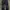 JEANS UNIQL0 S002 INDIGO REGULAR STRAIGHT SELVEDGE ACCENT