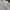 Nike small logo grey CREWNECK photo 2
