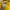 NEW BALANCD YELLOW CREWNECK photo 4