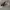 Trucker Realtree hat ZIPsystem photo 3