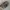 Advantech Realtree hat by Headquarterz photo 3