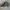 Advantech Realtree hat by Headquarterz photo 4
