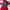 Dr Martens CELSHEA 2976 MIT photo 1