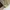 Dickies TJ15 Insulated Eisenhower Jacket Khaki photo 8