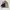 Dickies TJ15 Insulated Eisenhower Jacket Khaki