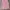 Pink Top cute Roem Girls photo 1