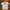 Rip curl kaos putih pria photo 1