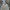 Burberry Luxury Minimalist Blazer Pria cream photo 2