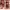 Fairy Nightgown Wanita multicolor red photo 1
