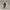 Adidas Tubular Defiant black white photo 4