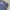 Vintage Black Sweet Faded Blue Jeans photo 7