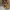 JACKET CAMO REALTREE THINSULATE photo 3