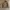 JACKET CAMO REALTREE THINSULATE photo 1