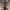 JACKET CAMO REALTREE THINSULATE photo 4