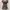 Y2K archive Brown Sheer Floral Victorian photo 1