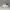 Adidas Casual Casual shoe Pria white photo 4