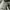 VALENTINO GARAVANI OPEN SKATE SNEAKERS WHITE BLACK , VALENTI photo 7