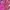 2pcs la senza L photo 5