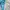2pcs la senza th0ng L photo 3