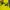 Ralph lauren greenlabel knitwear yellow photo 5
