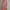 Dress Orange Peach photo 1