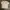 Dickies Streetwear Casual T-shirt Pria cream photo 1