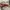Vans Sk8-Low 2-Tone Rose Smoke photo 6