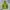 Rab Jacket Outdoor Gorpcore