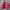 The North Face Reversible Puffer Jacket photo 4