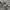 Puffer Jacket Genuine Classic by Topvalu photo 4